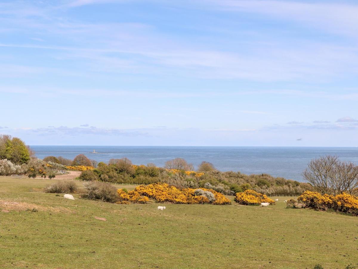 Bryn Hyfryd Caravan Penrhos-Lligwy Экстерьер фото